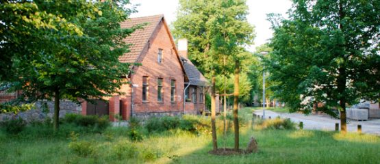 Hefeteigworkshop – Wir backen einen Hefezopf