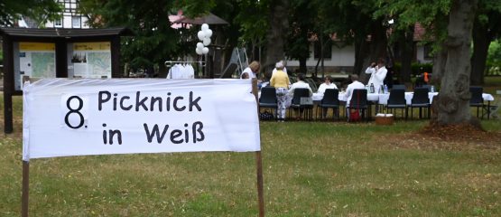 8. Picknick in Weiß