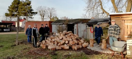 Brennholz 2024 – Die neue Holzhacksaison hat begonnen!