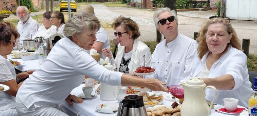 12. Picknick  in Weiß